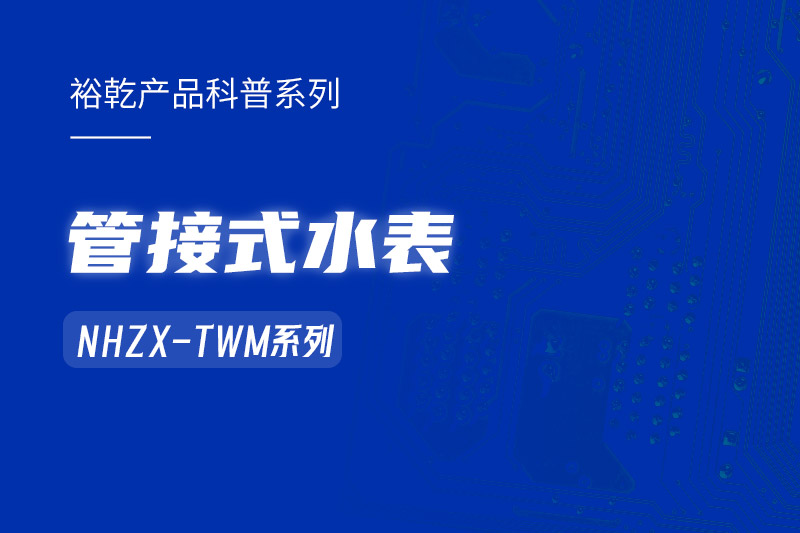 管接式水表NHZX-TWM系列：解析其在能耗監(jiān)測系統(tǒng)中的關鍵作用！